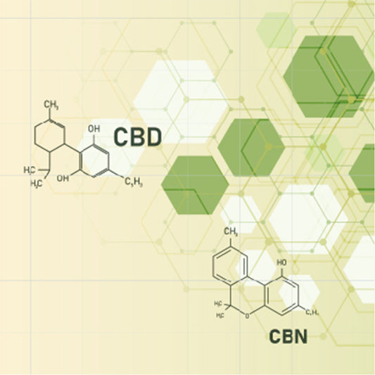 Understanding the Differences: CBD, CBG, and CBN Explained